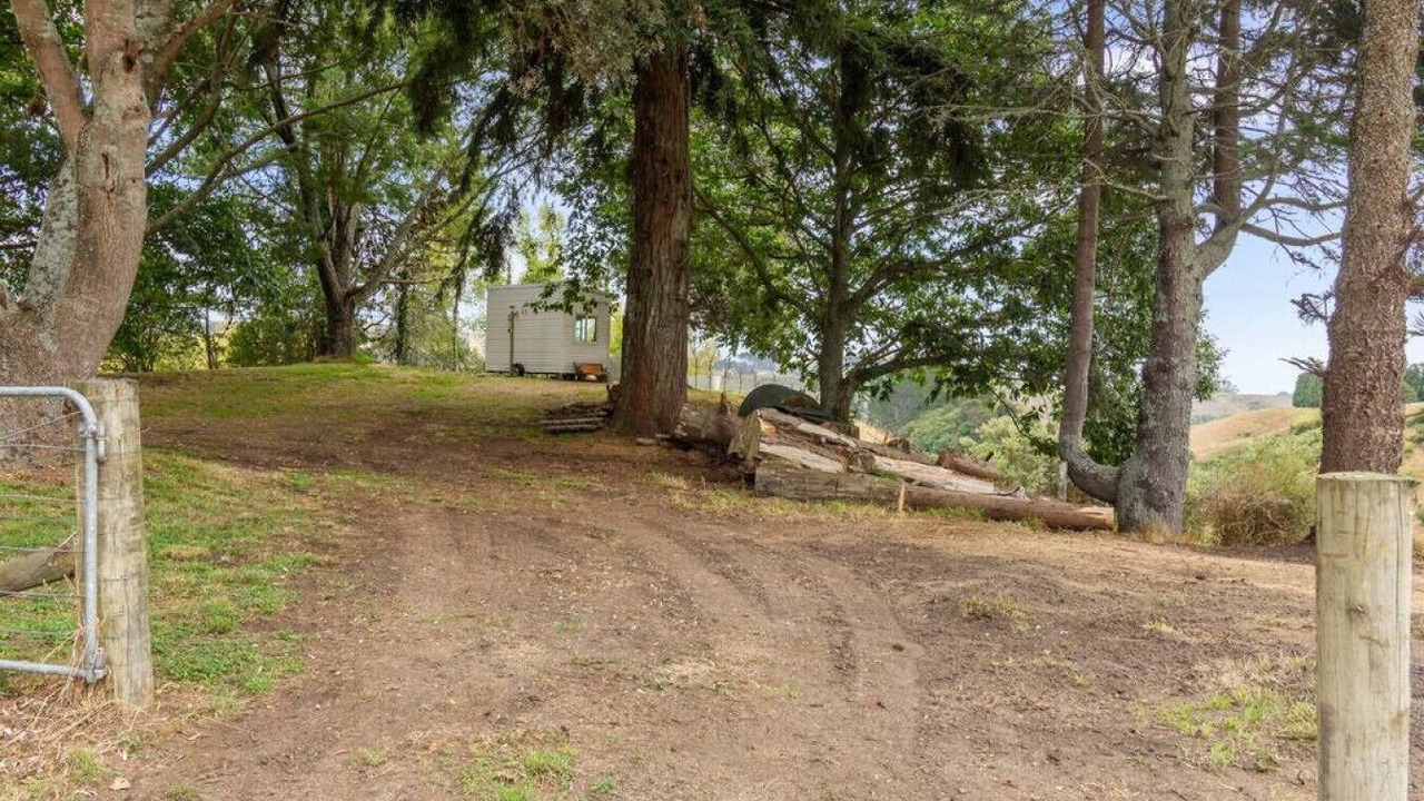 Photo of Outdoor in Pukehina