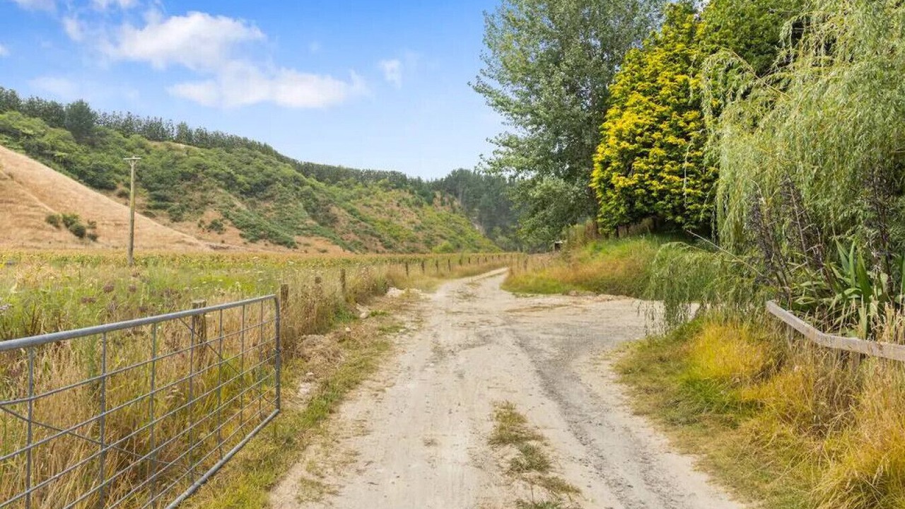 Photo of Outdoor in Pukehina