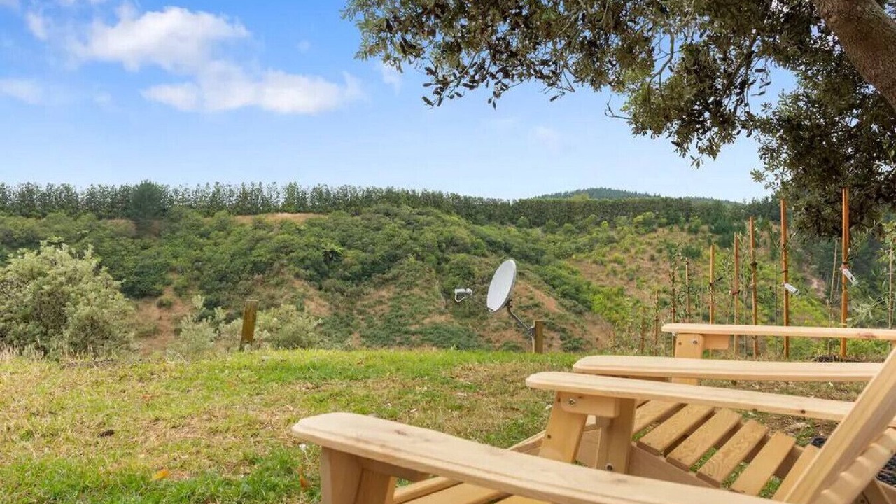 Photo of Outdoor in Pukehina