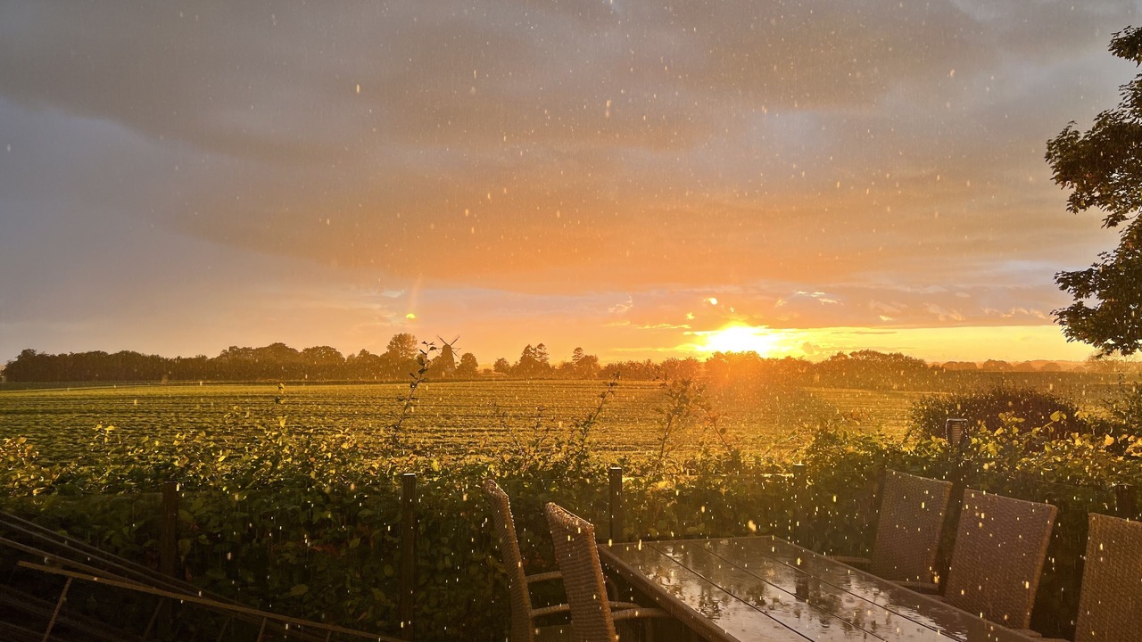 Photo of Outdoor in Assens