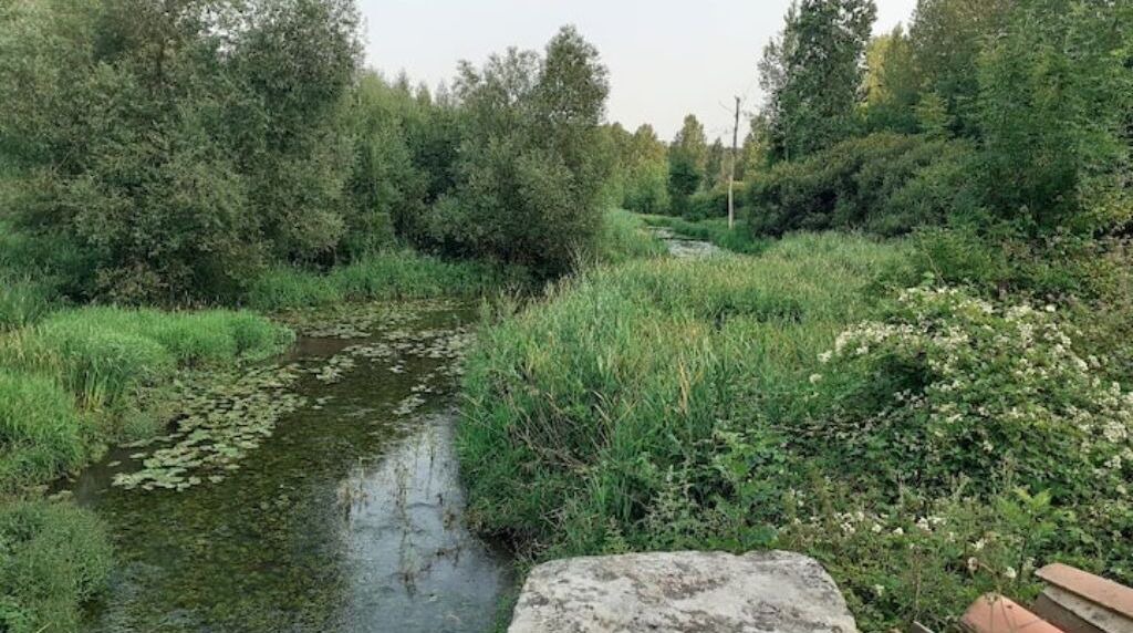 Photo of Outdoor in Beruges