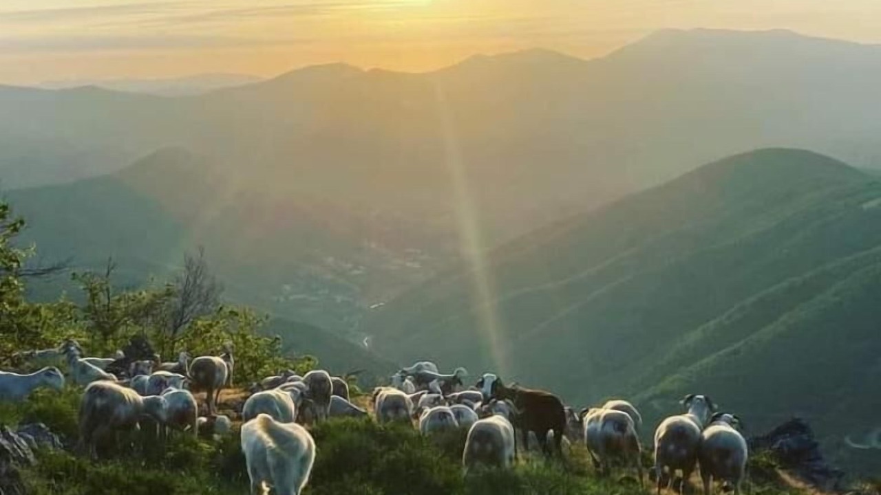 Photo of Others in Notre-Dame-de-la-Rouviere