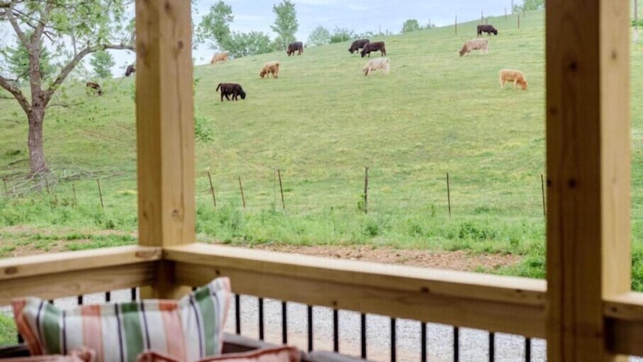 Photo of Outdoor in Bentonville