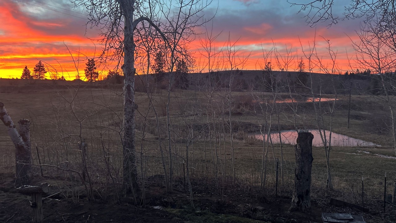 Photo of Others in Washington County