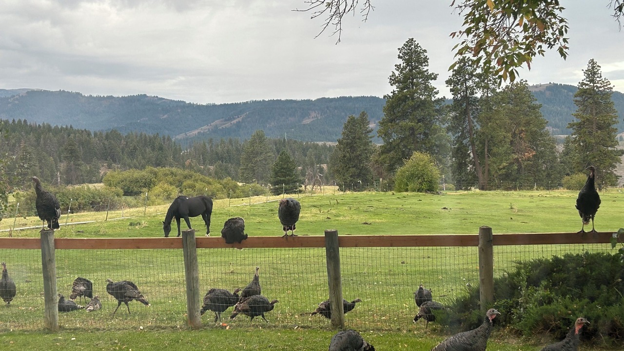 Photo of Others in Washington County