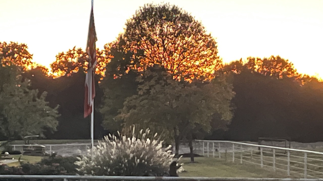 Photo of Outdoor in Cunningham