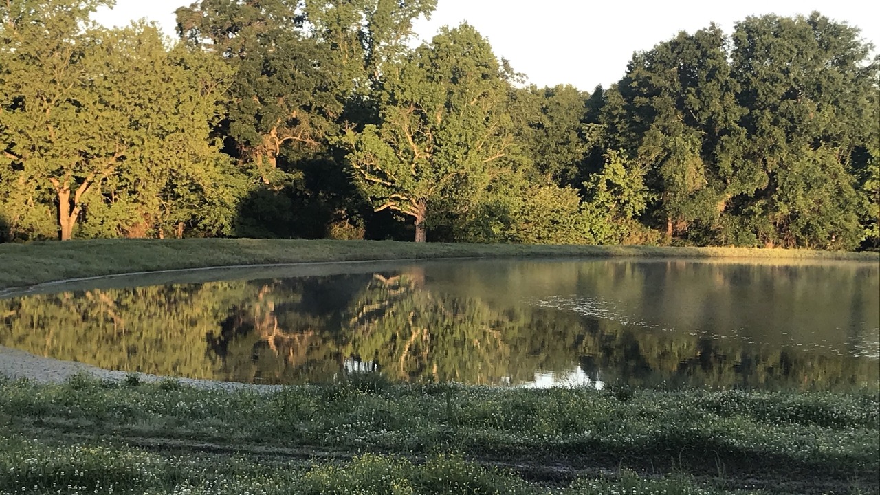 Photo of Outdoor in Cunningham
