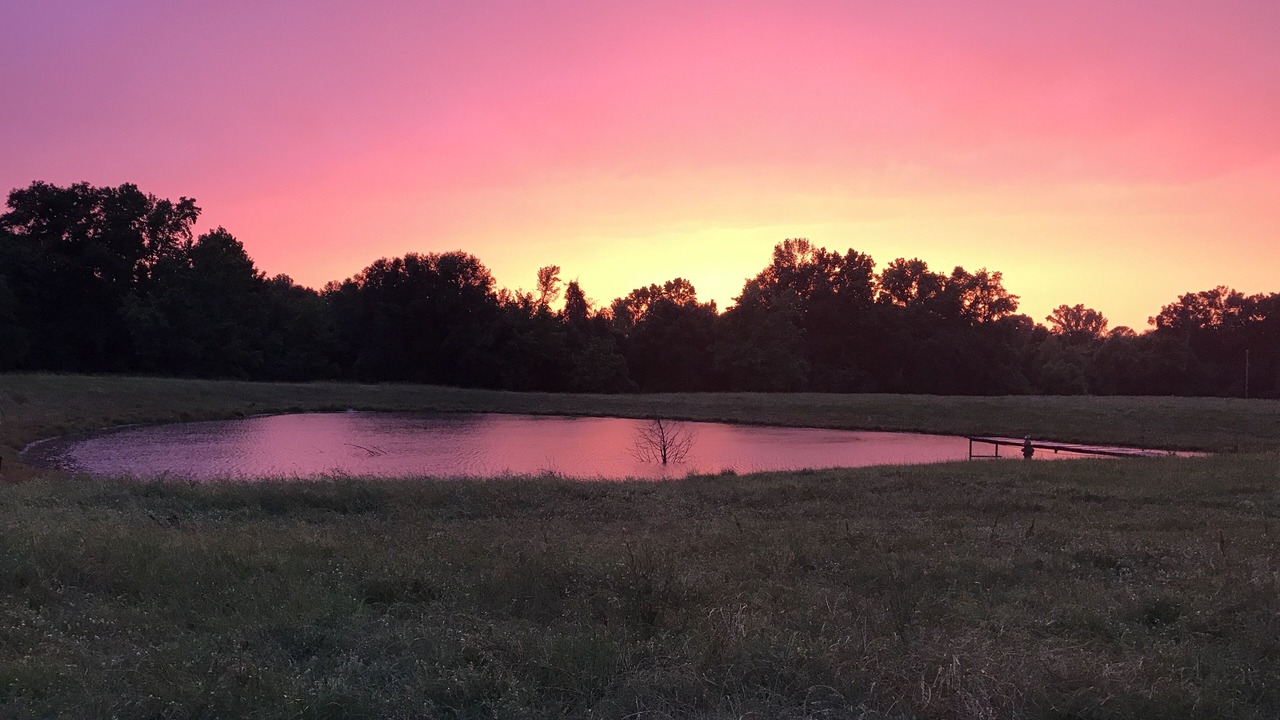 Photo of Outdoor in Cunningham