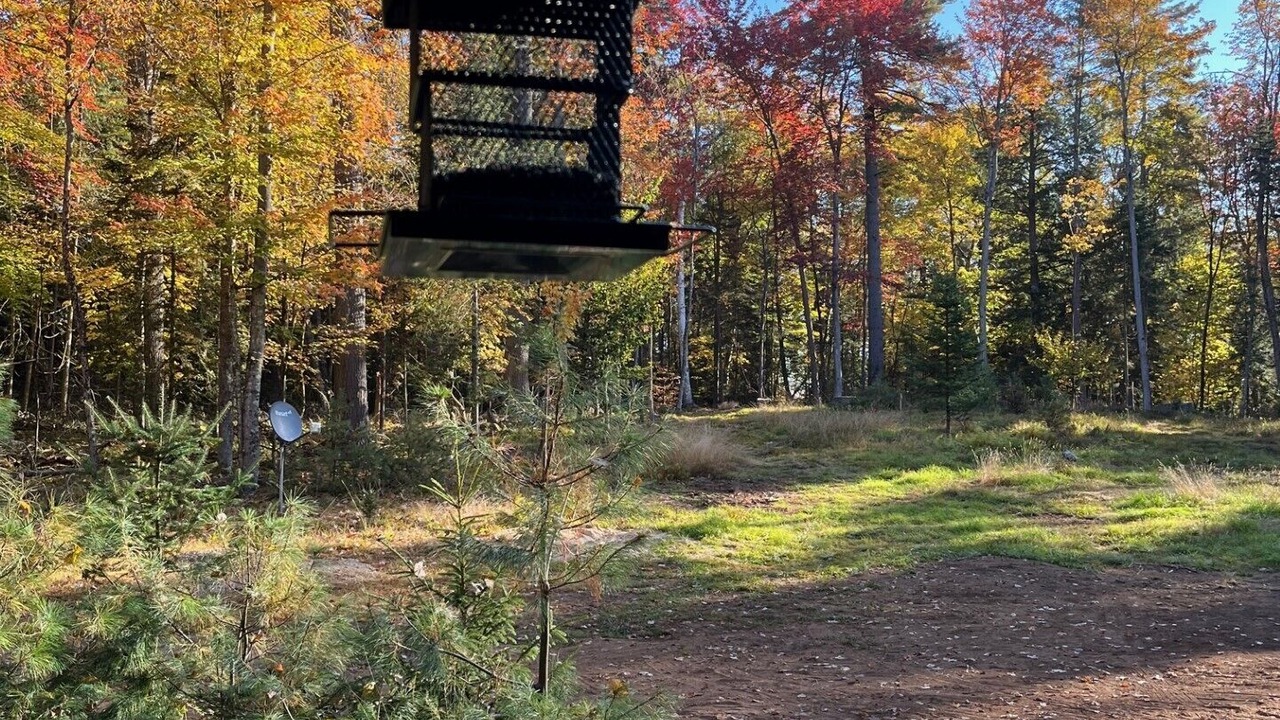 Photo of Others in Saranac Lake