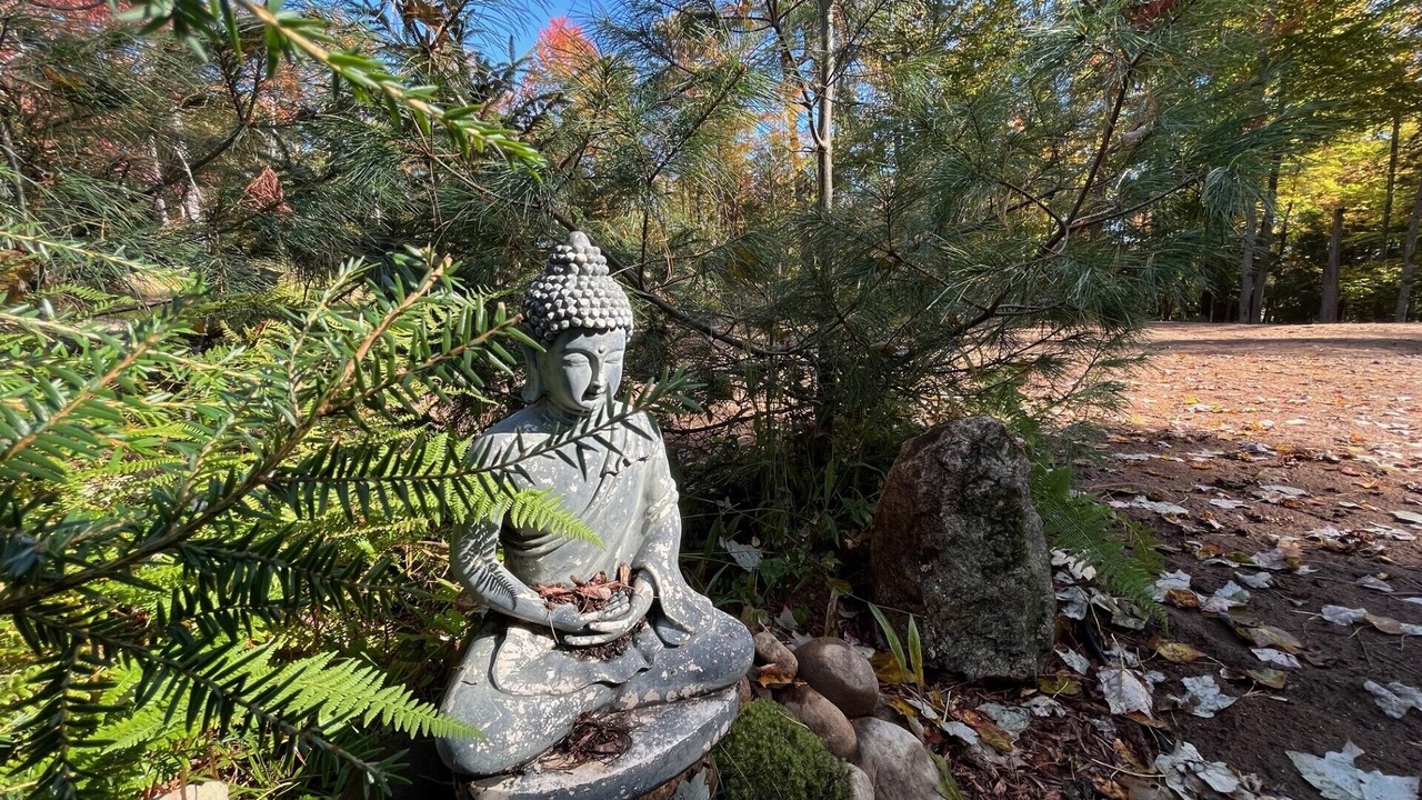 Photo of Outdoor in Saranac Lake