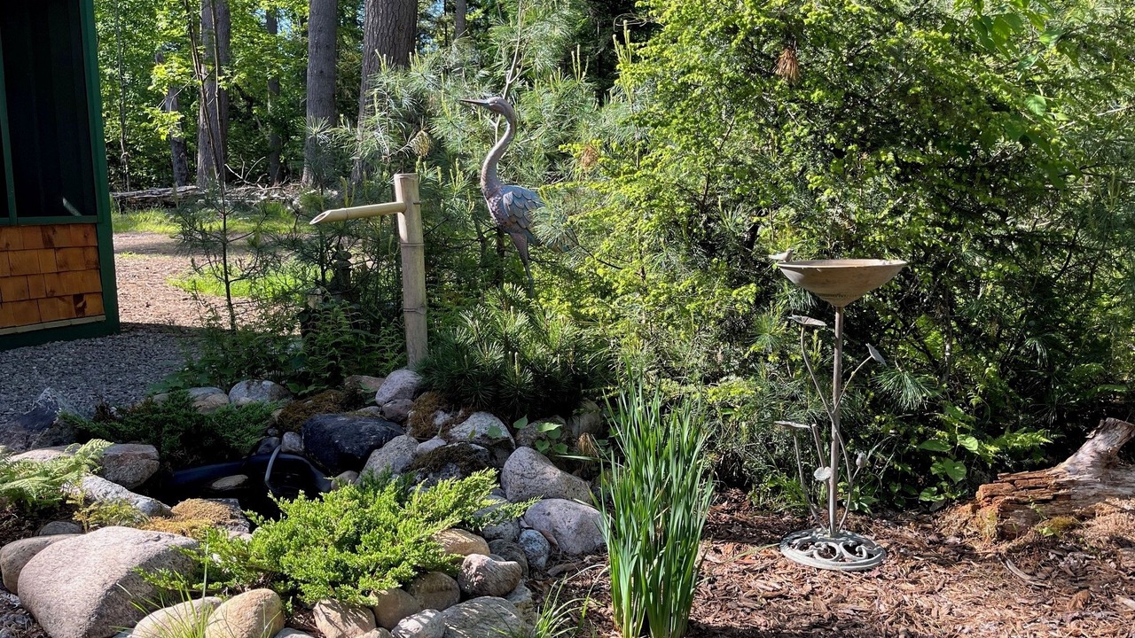 Photo of Outdoor in Saranac Lake