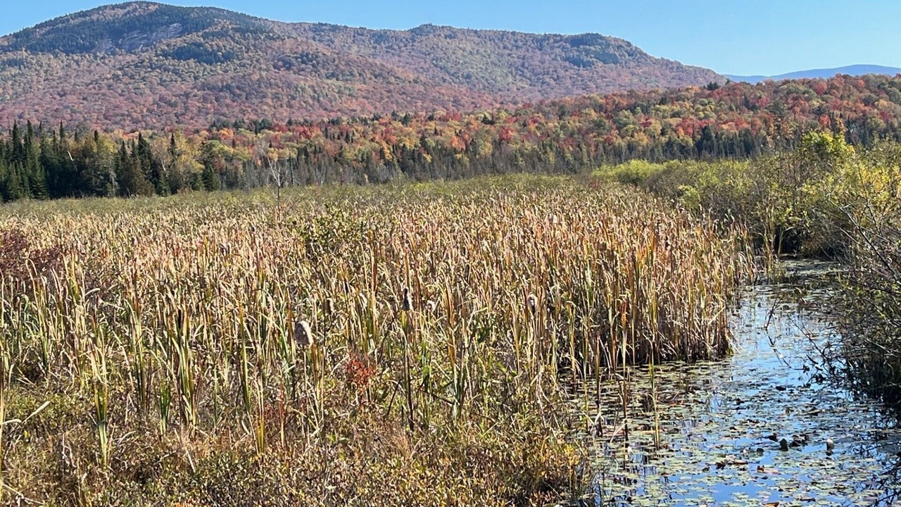 Photo of Others in Saranac Lake