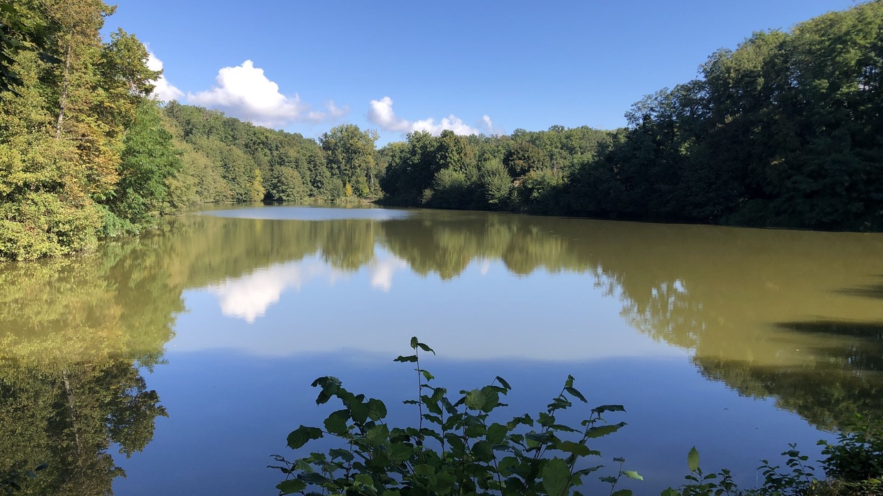 Photo of Others in La Croix-en-Touraine