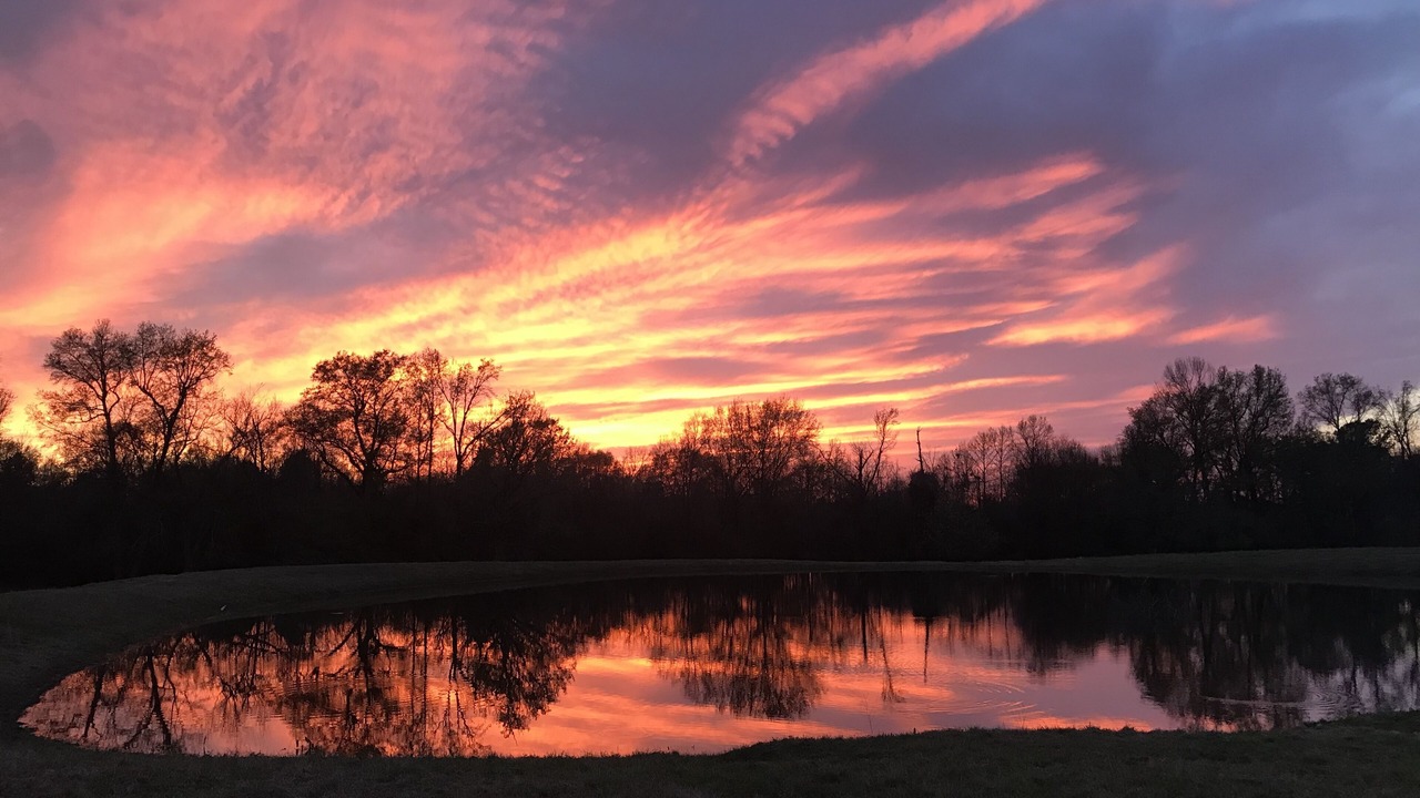 Photo of Outdoor in Cunningham