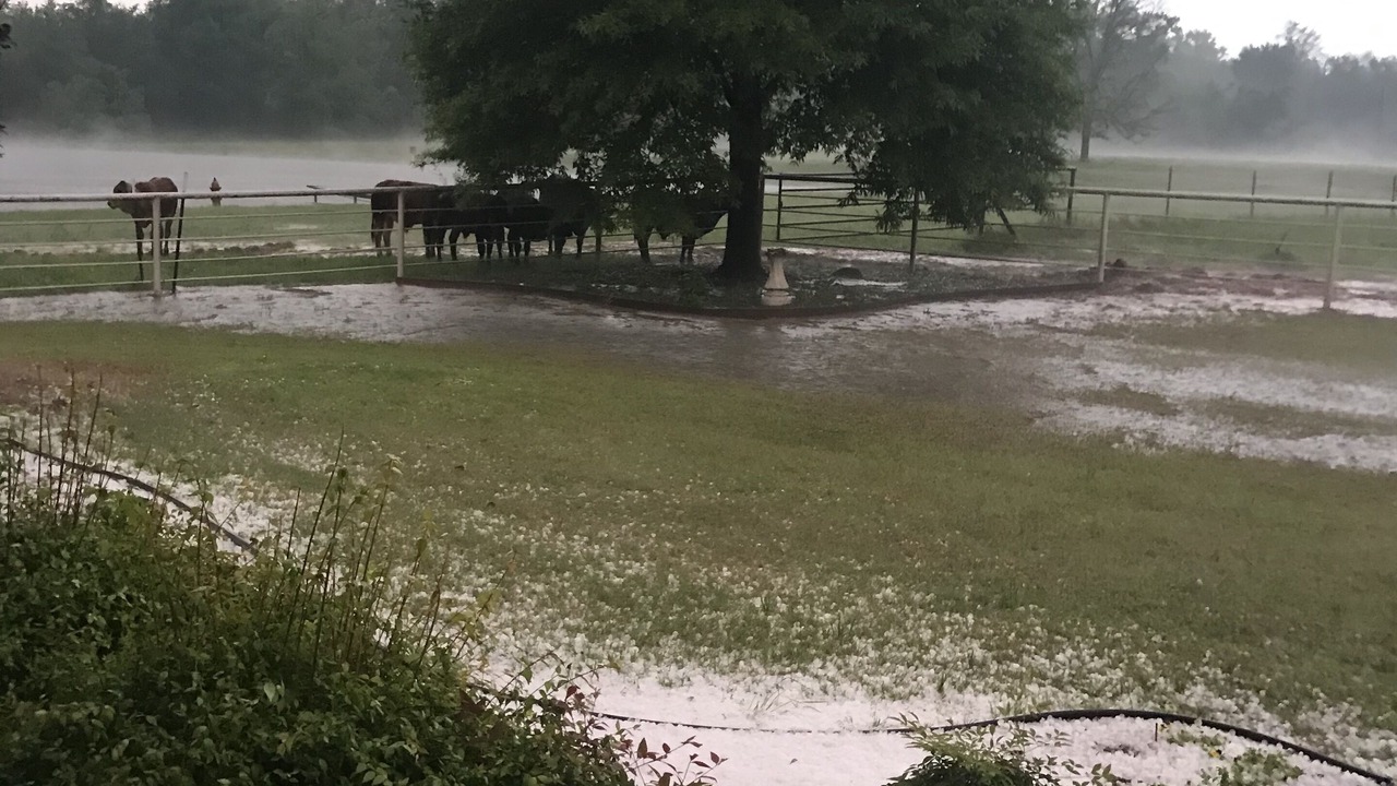 Photo of Outdoor in Cunningham