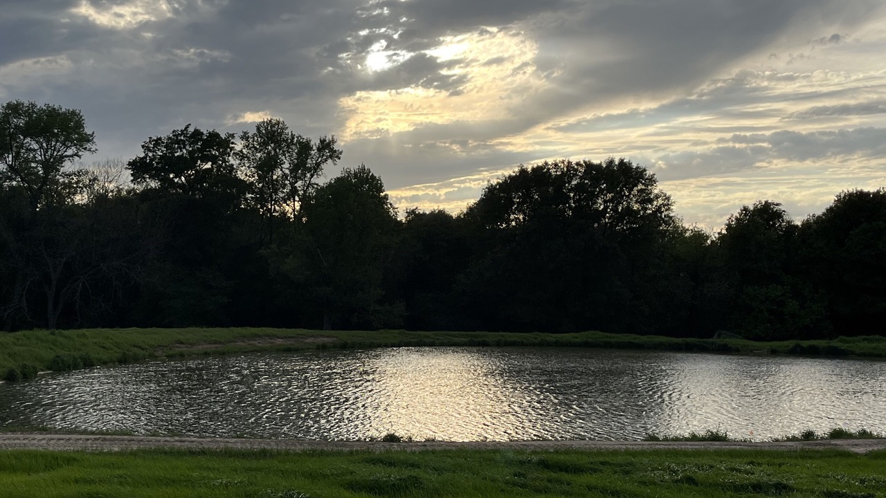 Photo of Outdoor in Cunningham