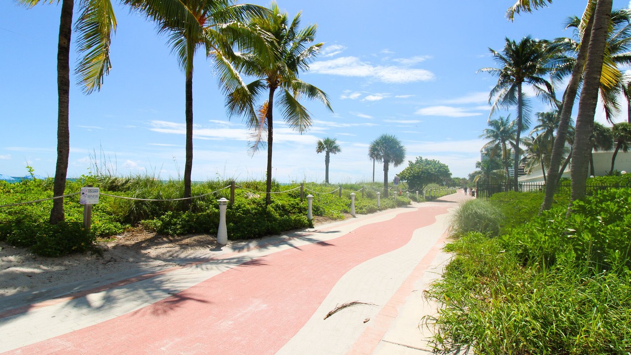 Photo of Others in Mid Beach