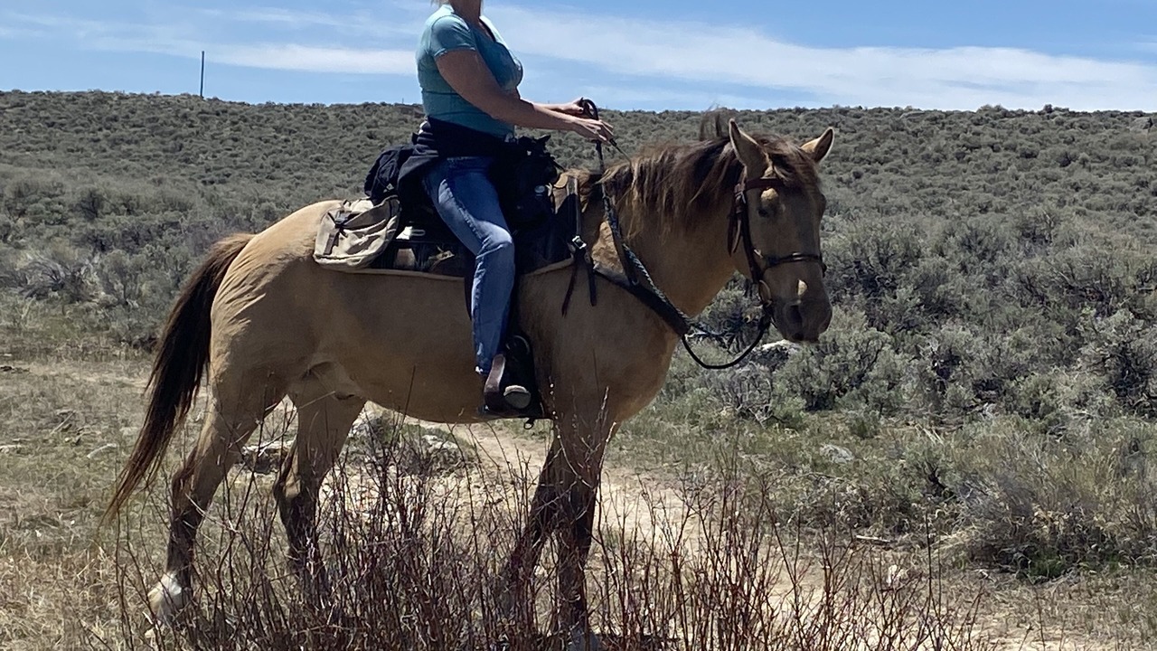 Photo of Outdoor in Pinedale