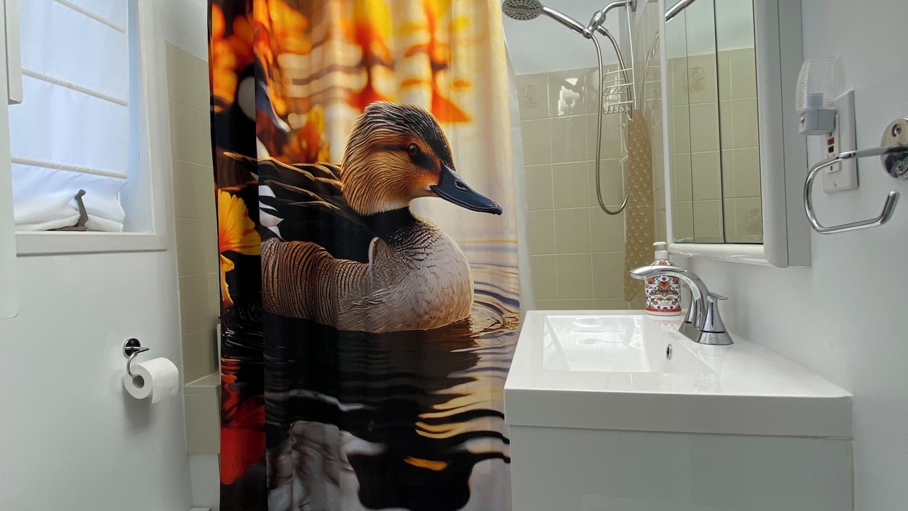 Photo of Bathroom in St-Adolphe-d'Howard