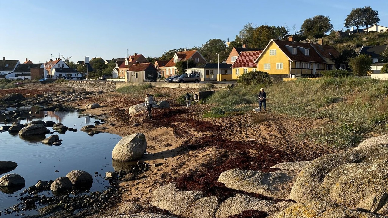 Photo of Others in Svaneke