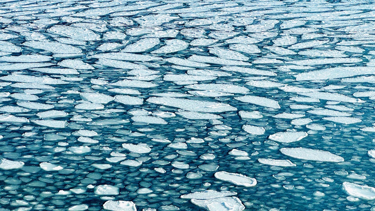 Photo of Others in Norman's Cove-Long Cove