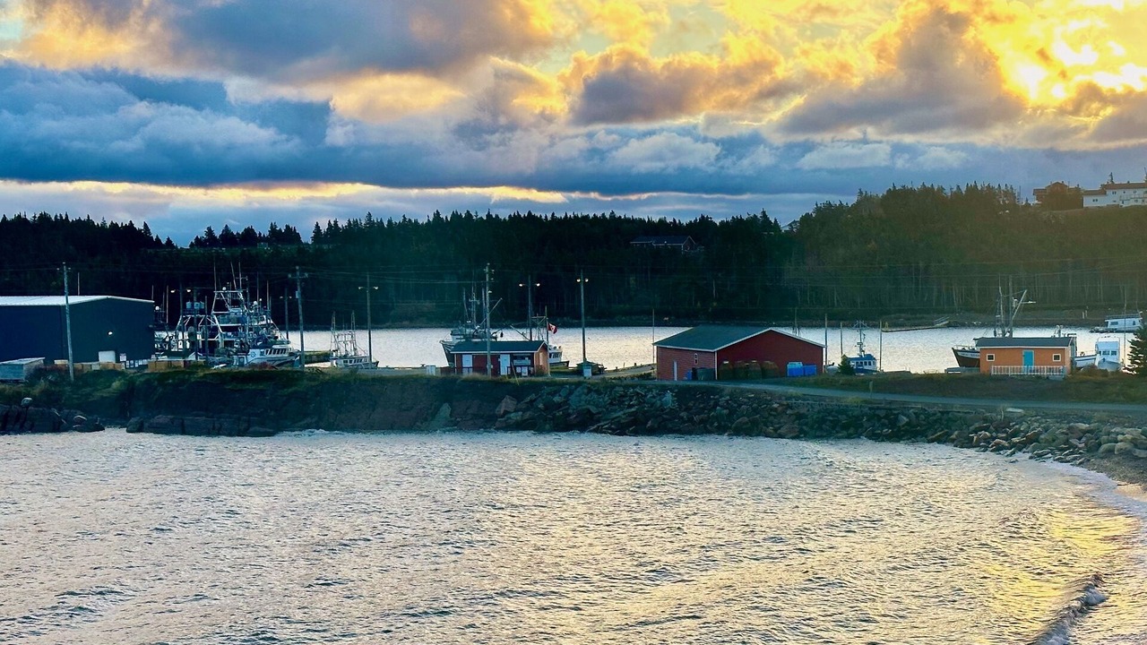 Photo of Others in Norman's Cove-Long Cove