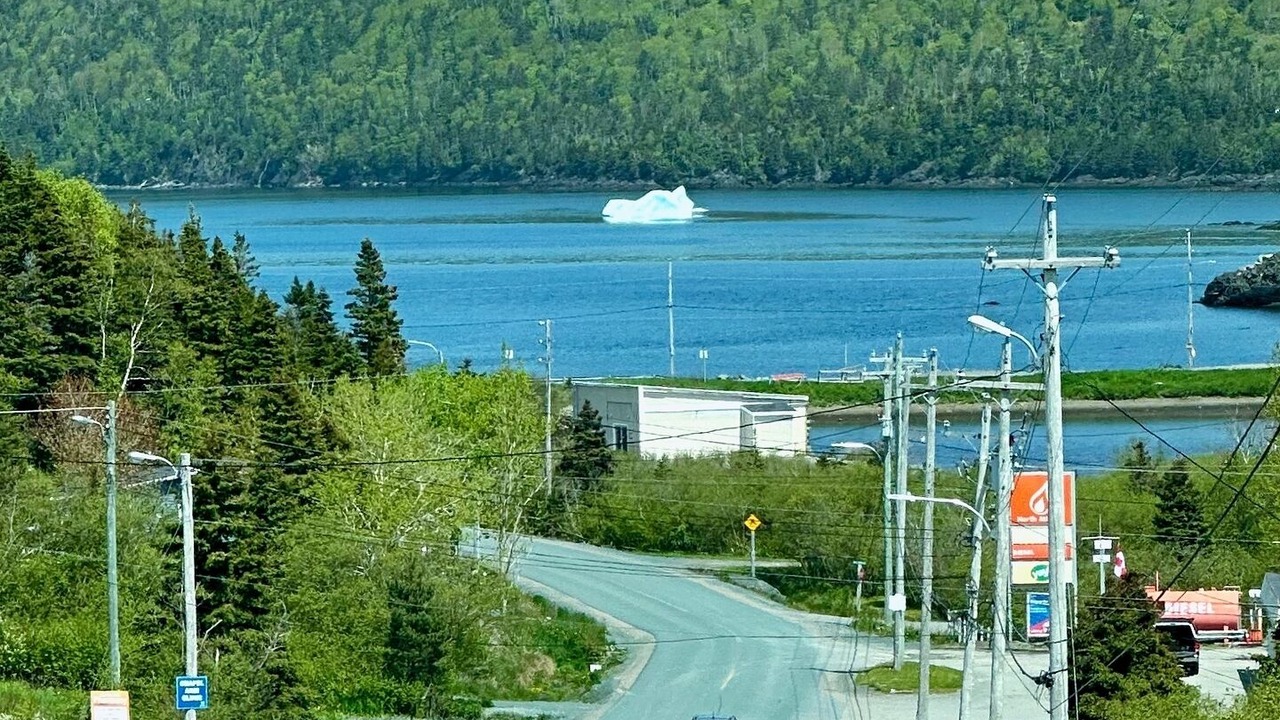 Photo of Others in Norman's Cove-Long Cove