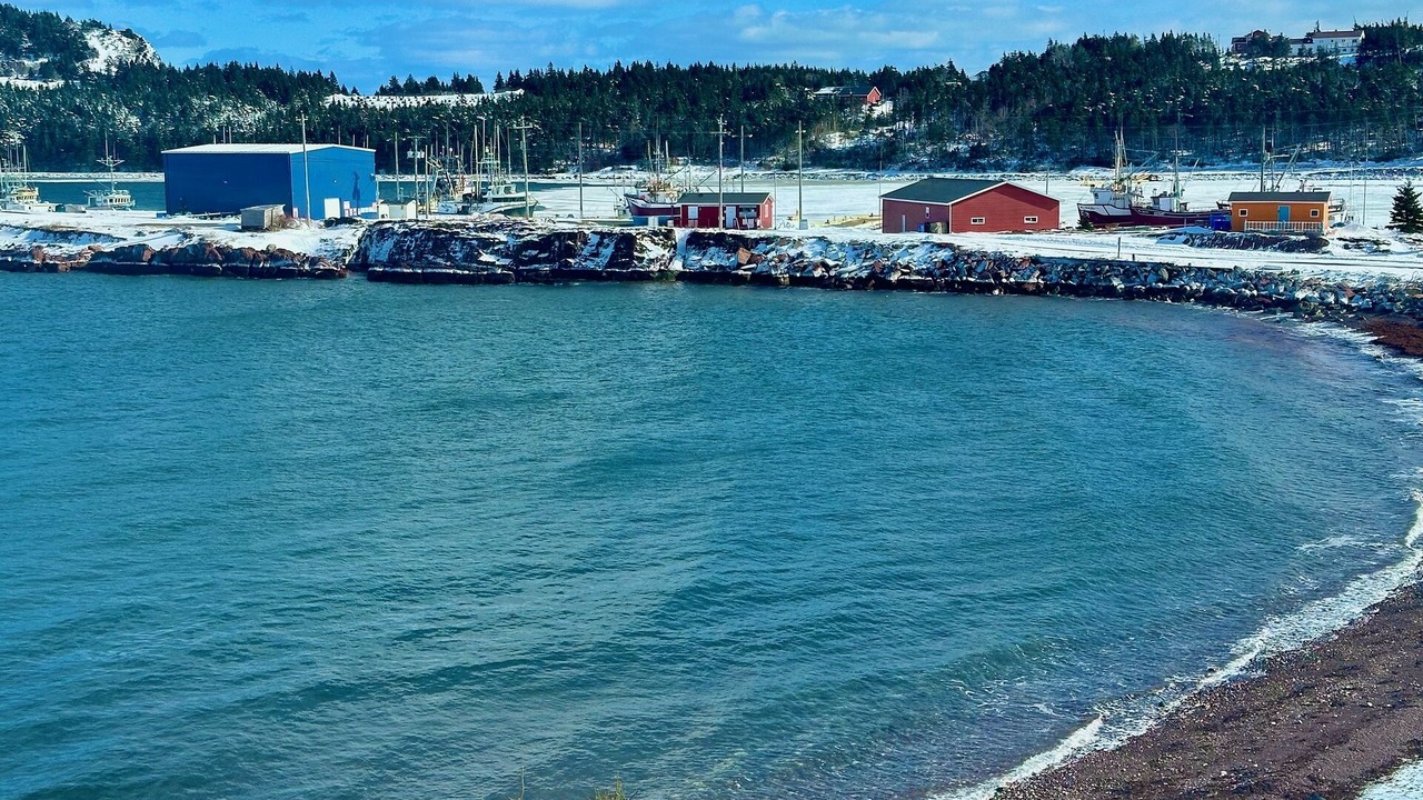 Photo of Others in Norman's Cove-Long Cove