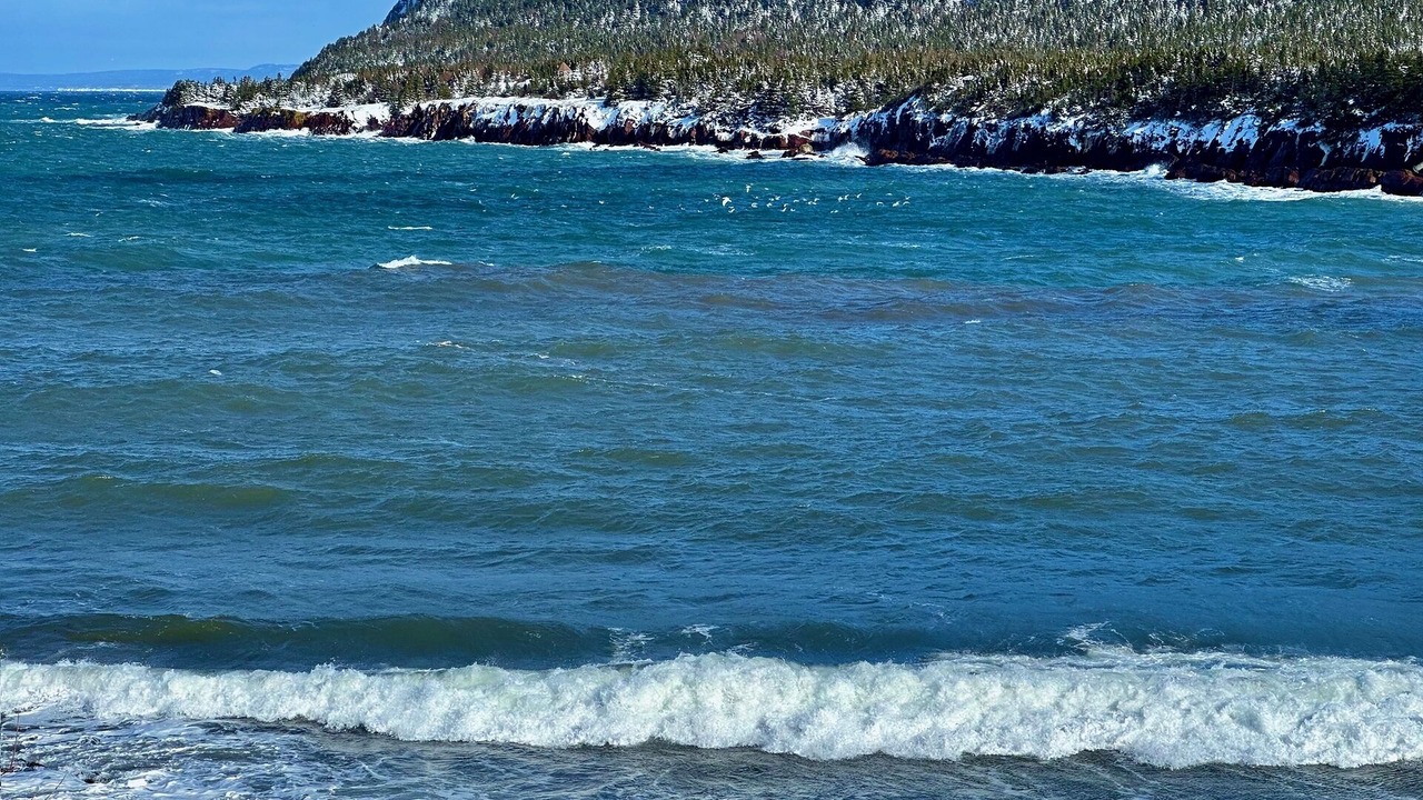 Photo of Others in Norman's Cove-Long Cove
