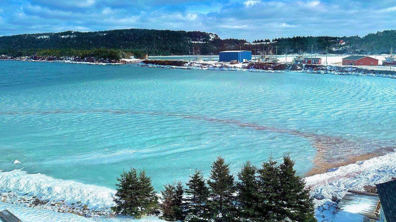 Photo of Others in Norman's Cove-Long Cove