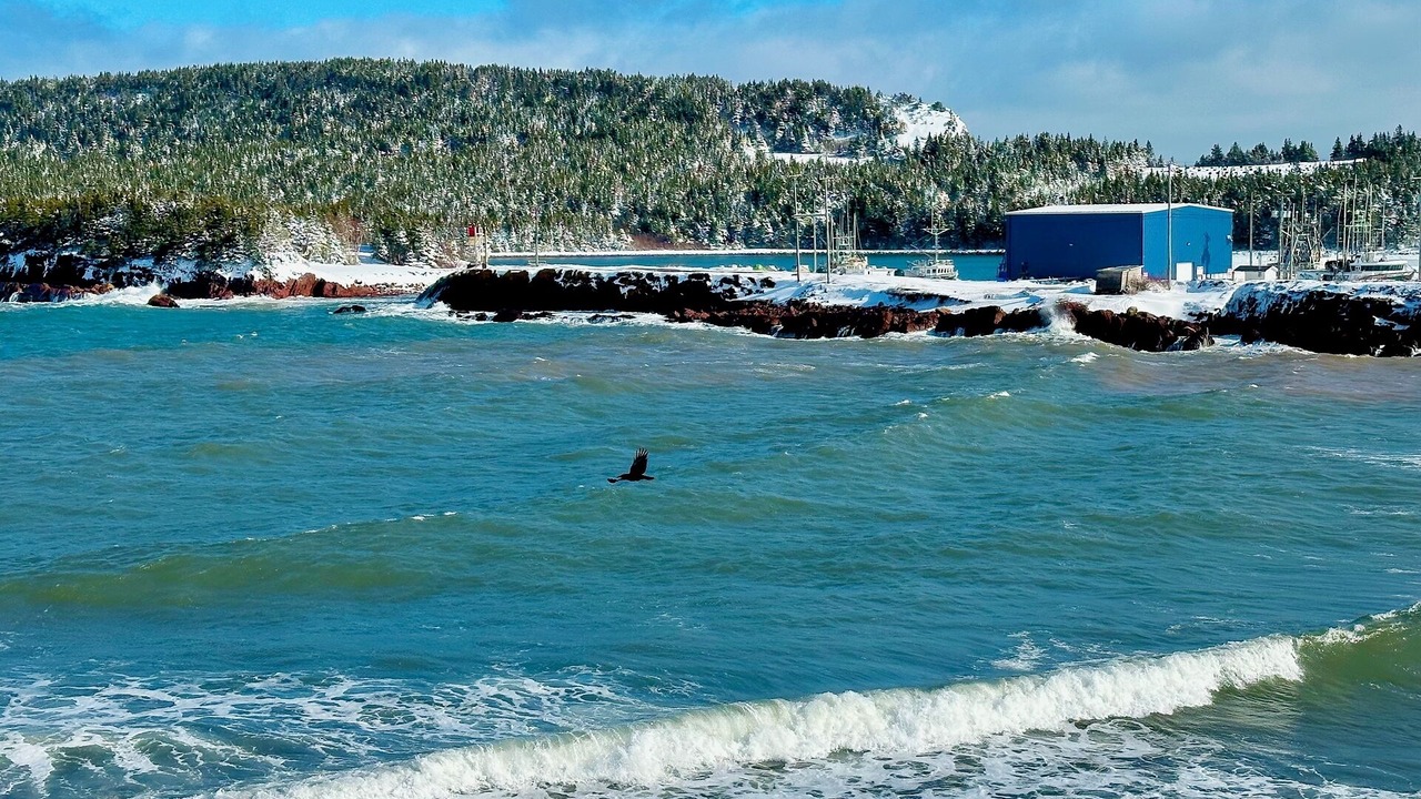 Photo of Others in Norman's Cove-Long Cove