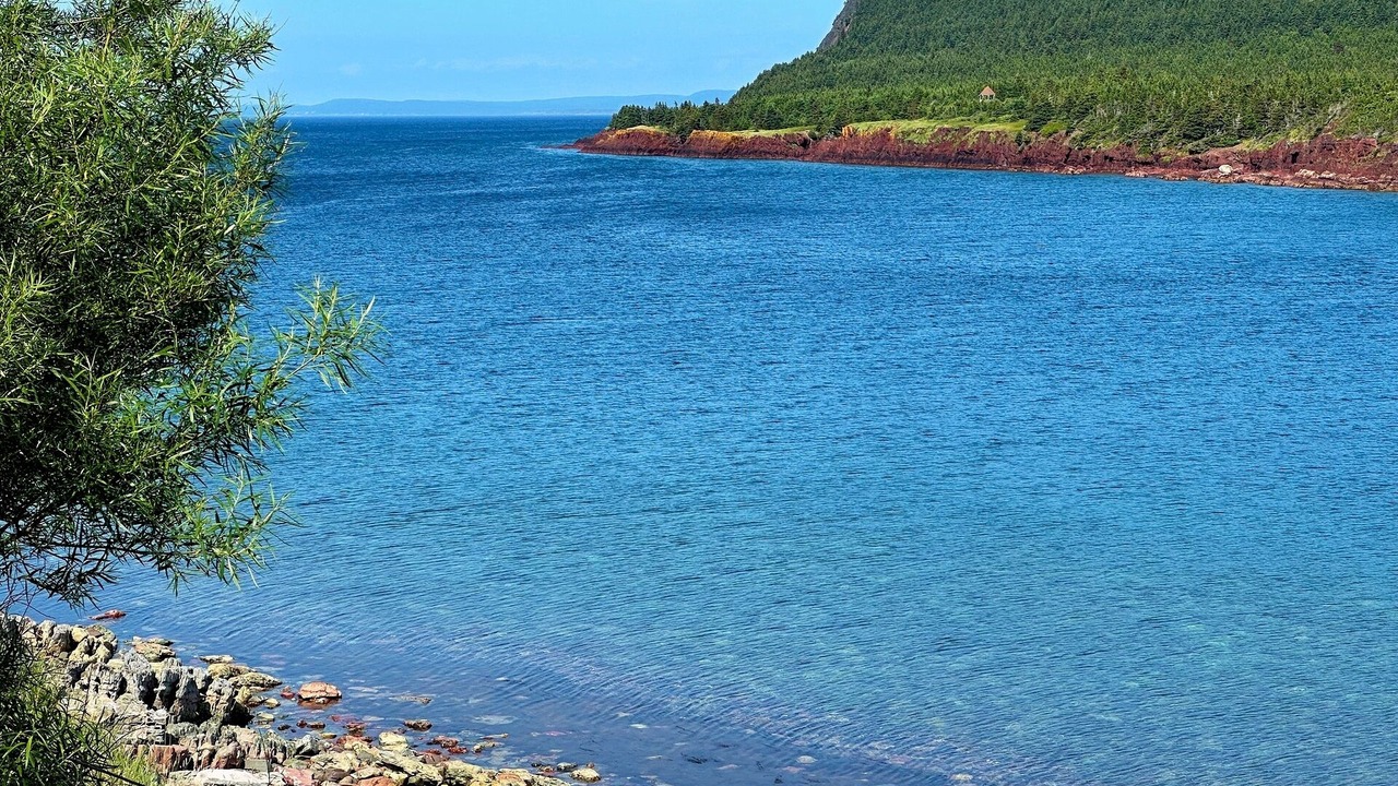 Photo of Others in Norman's Cove-Long Cove