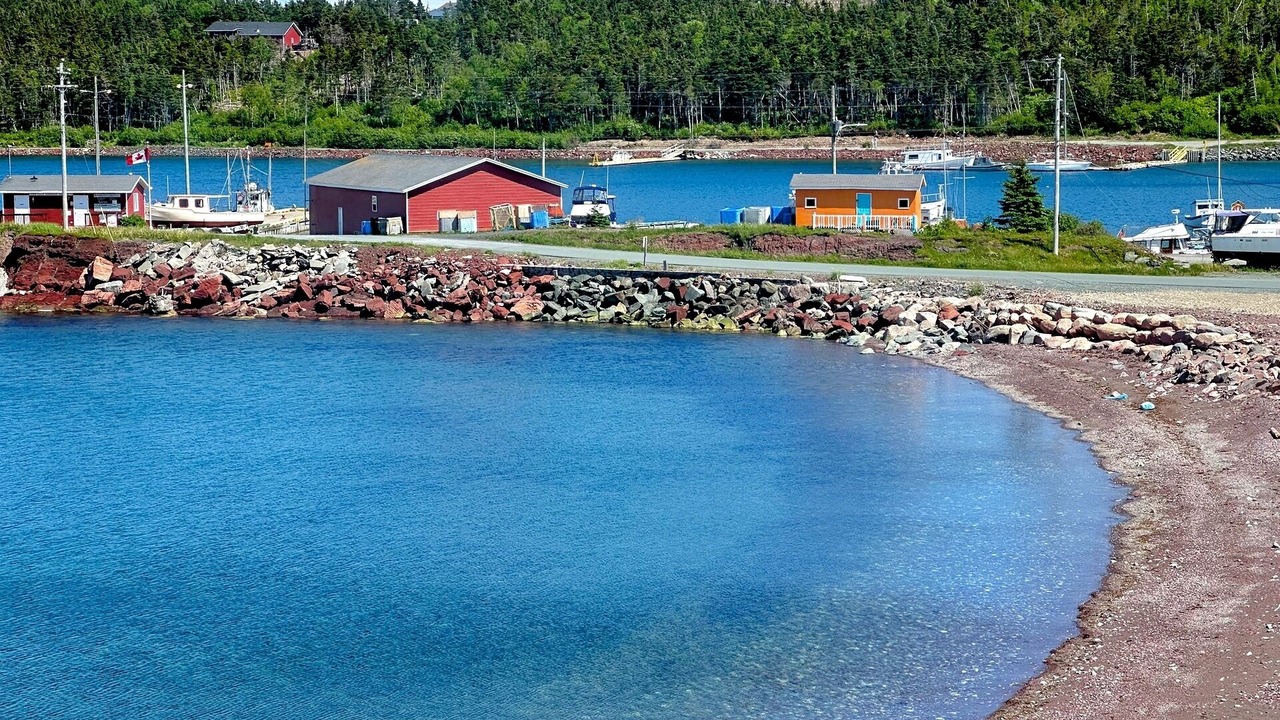 Photo of Others in Norman's Cove-Long Cove