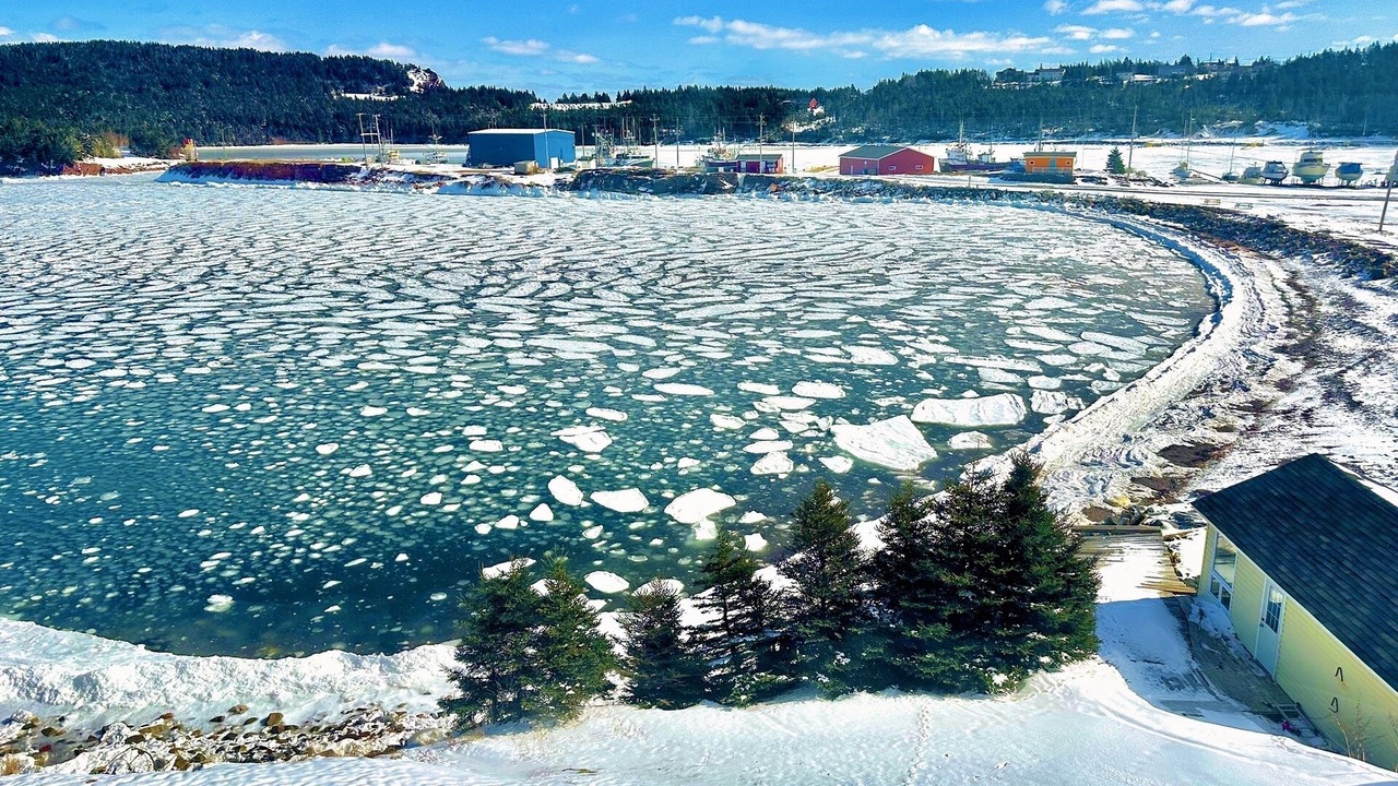 Photo of Others in Norman's Cove-Long Cove