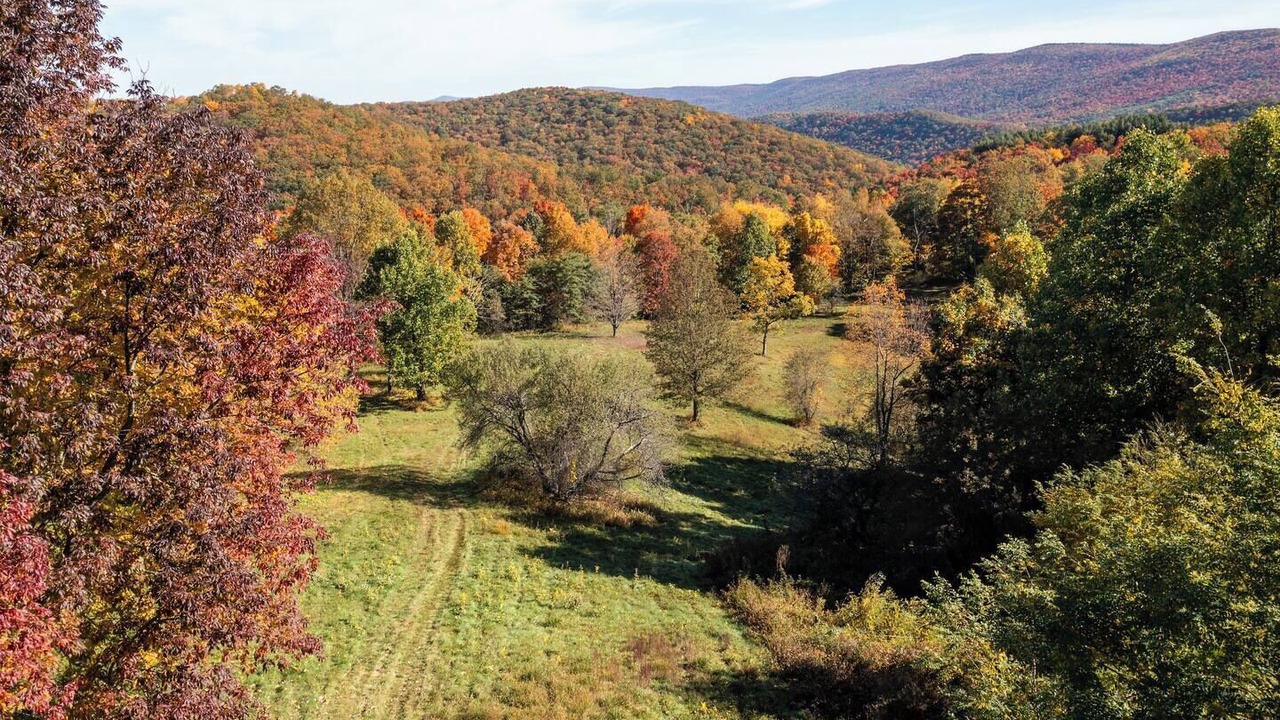 Photo of Others in Dailey