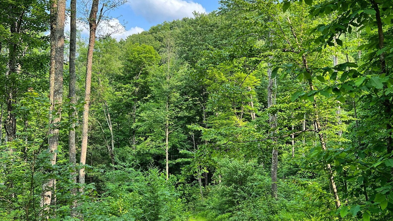Photo of Outdoor in Dailey