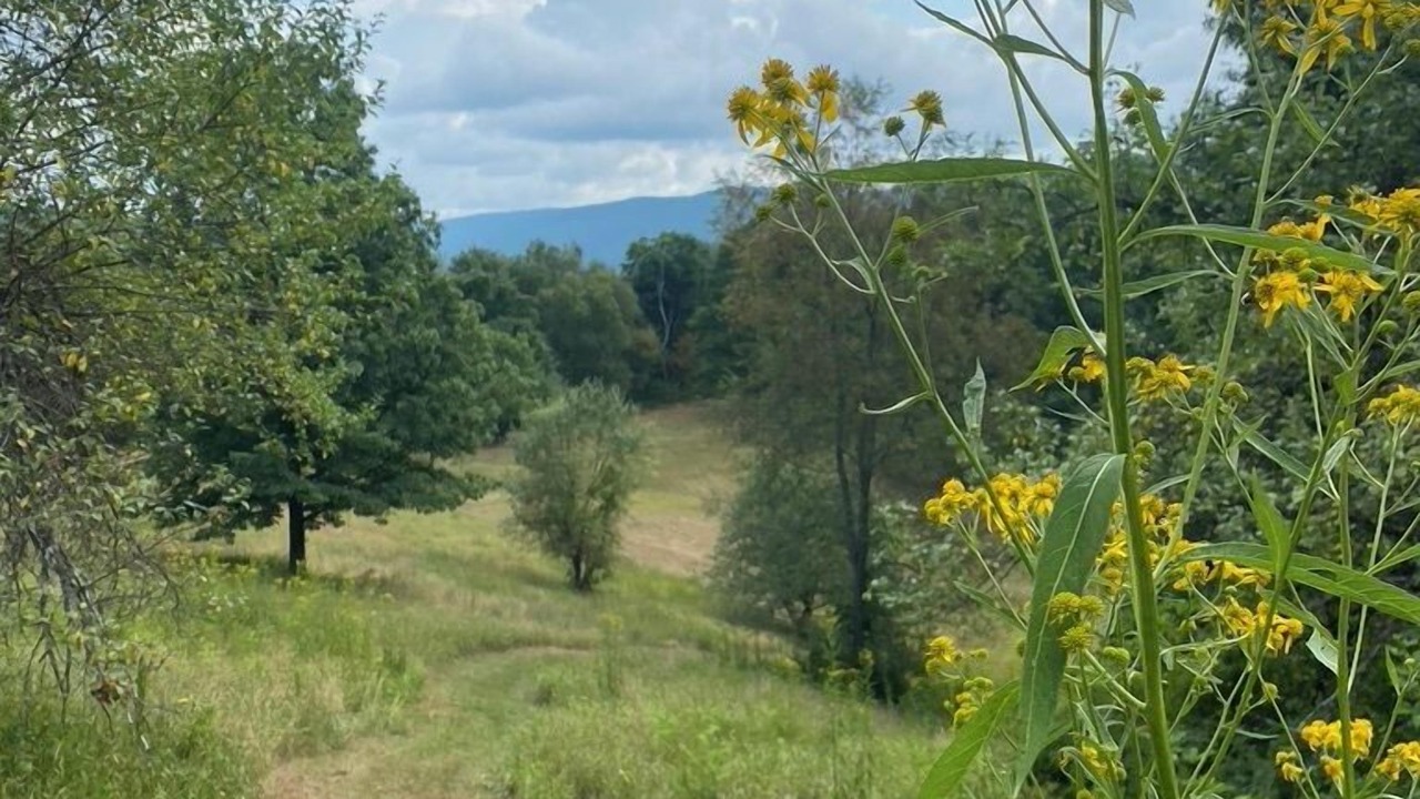 Photo of Outdoor in Dailey