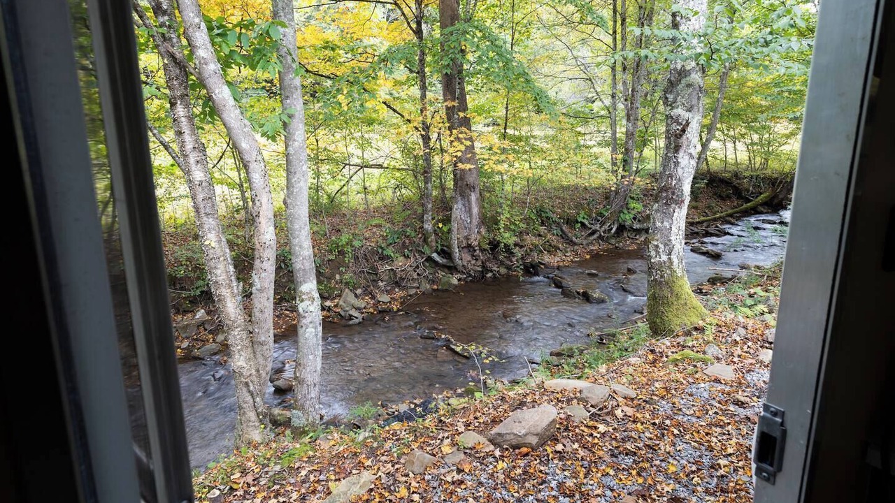 Photo of Others in Dailey