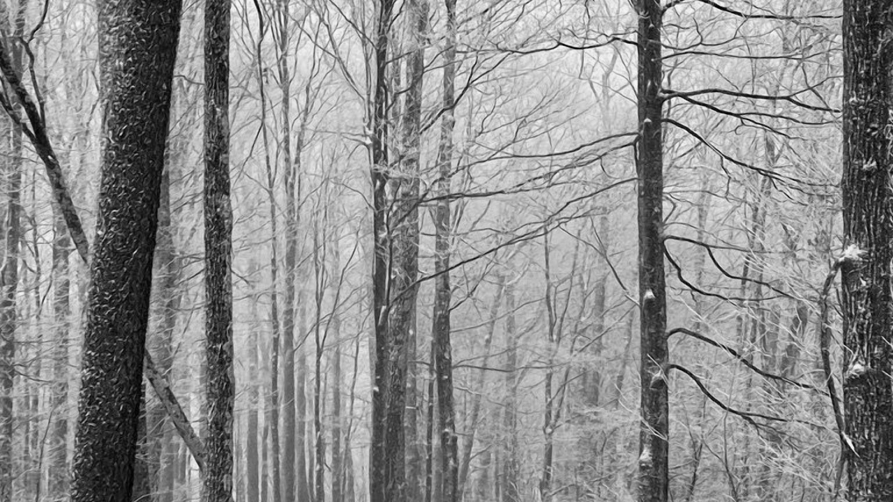 Photo of Outdoor in Dailey