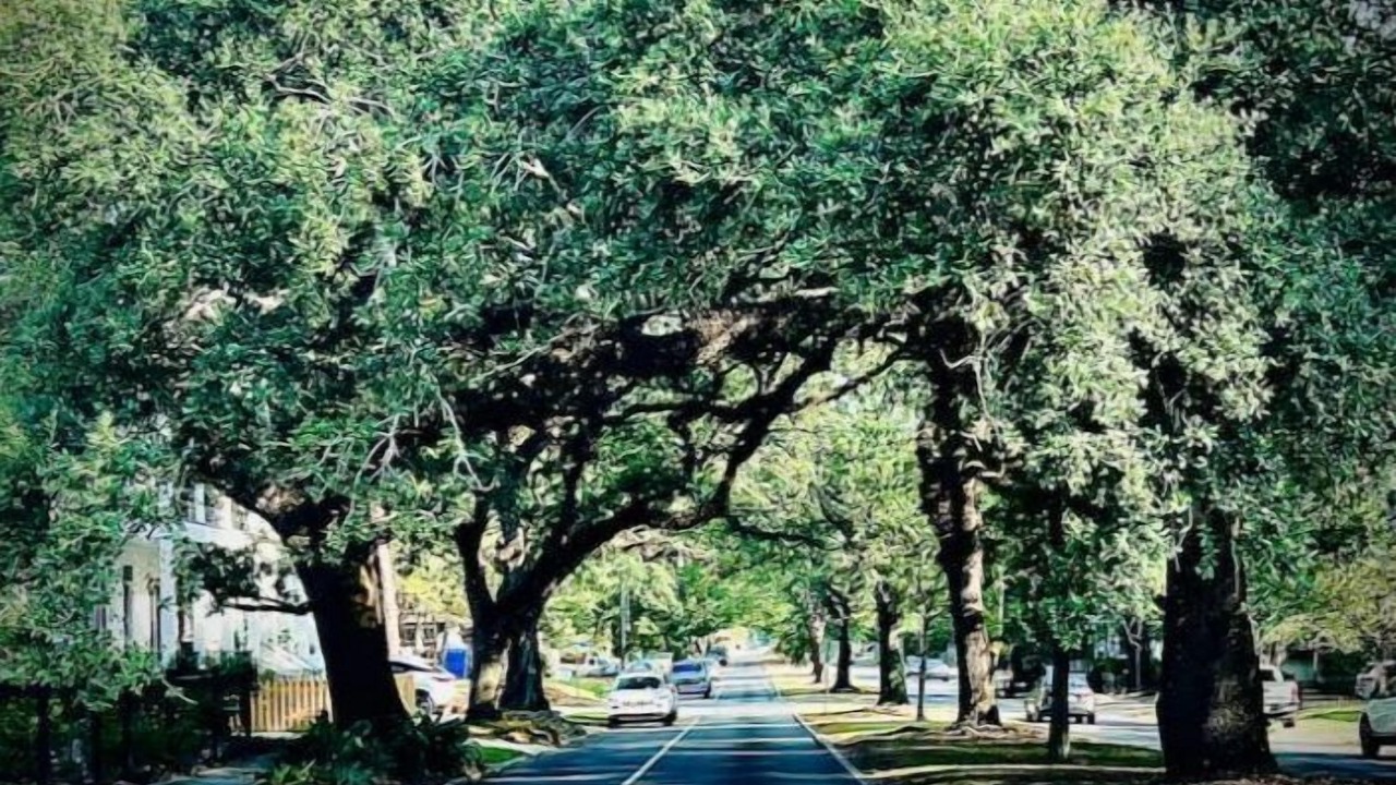 Photo of Others in Roseland Terrace Historic District