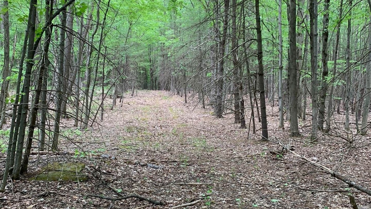 Photo of Outdoor in Jefferson