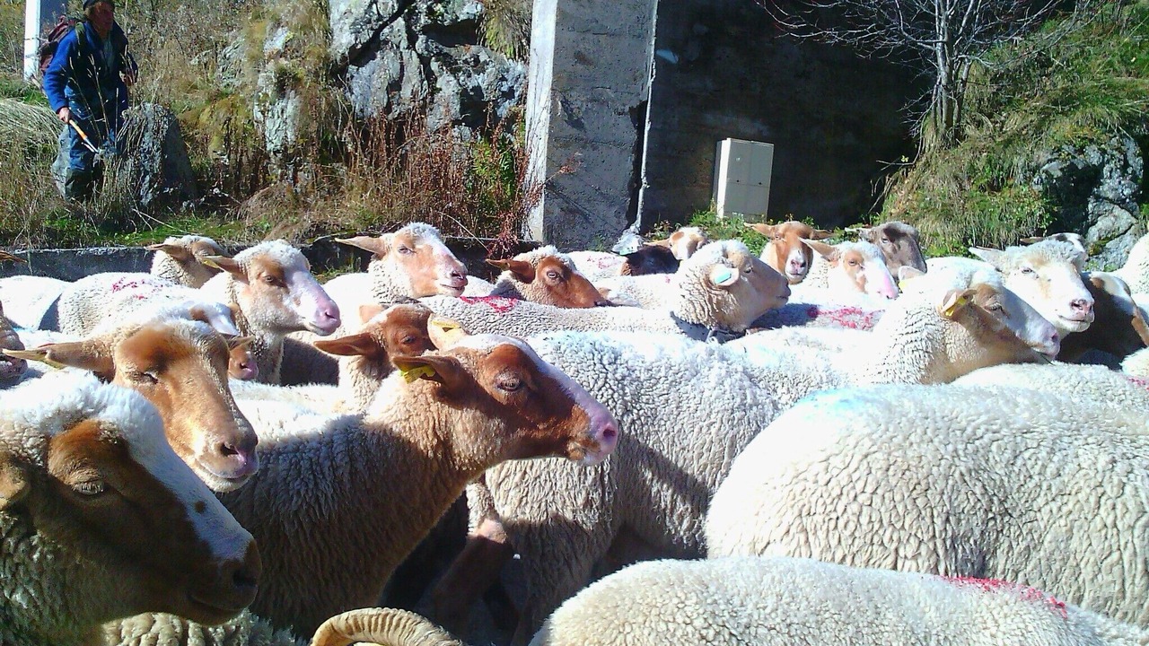 Photo of Others in Belvedere