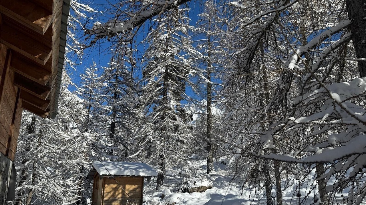 Photo of Outdoor in Belvedere