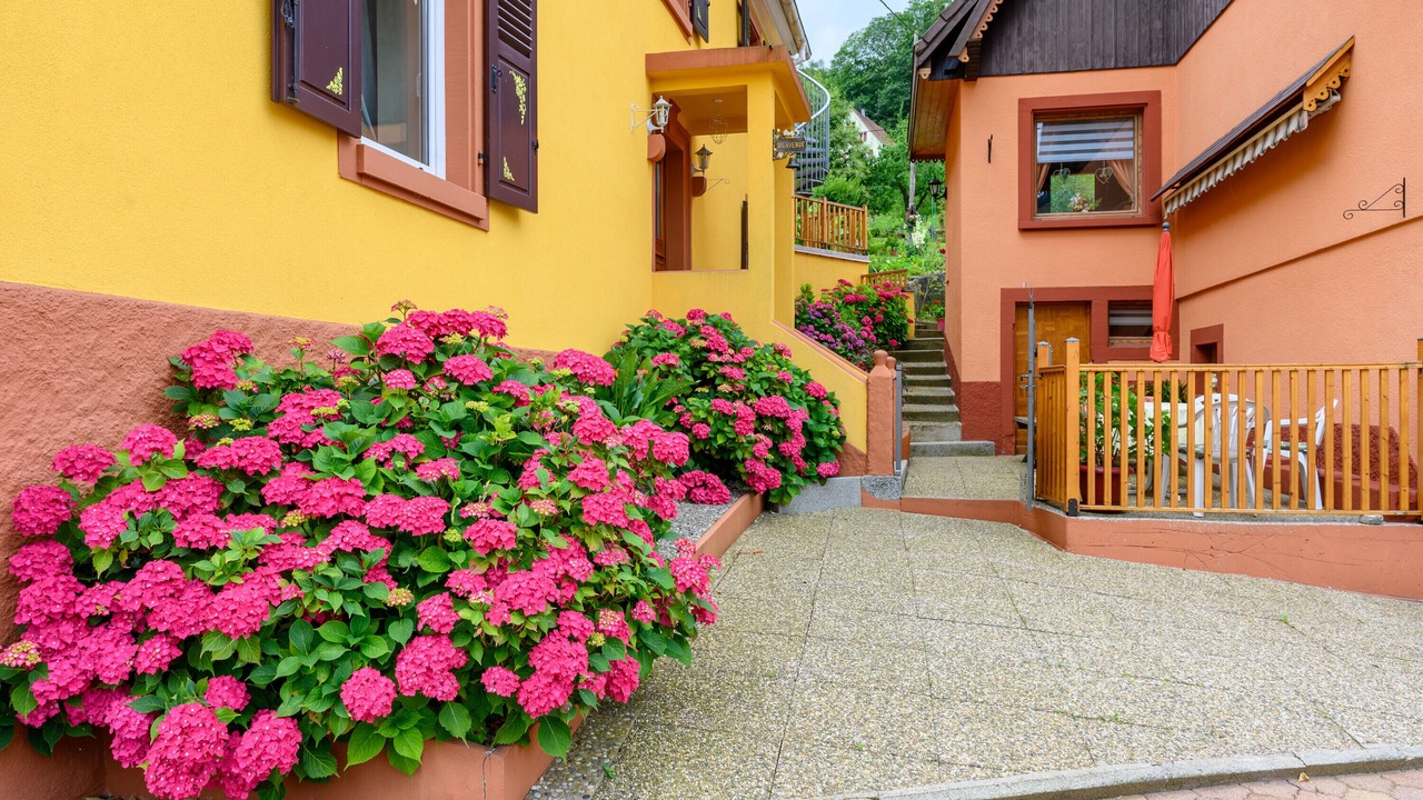 Photo of Outdoor in Sondernach