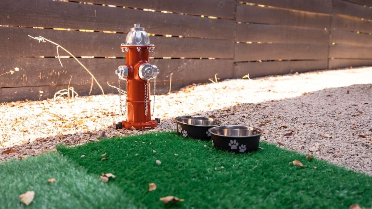 Photo of Outdoor in Travis Heights