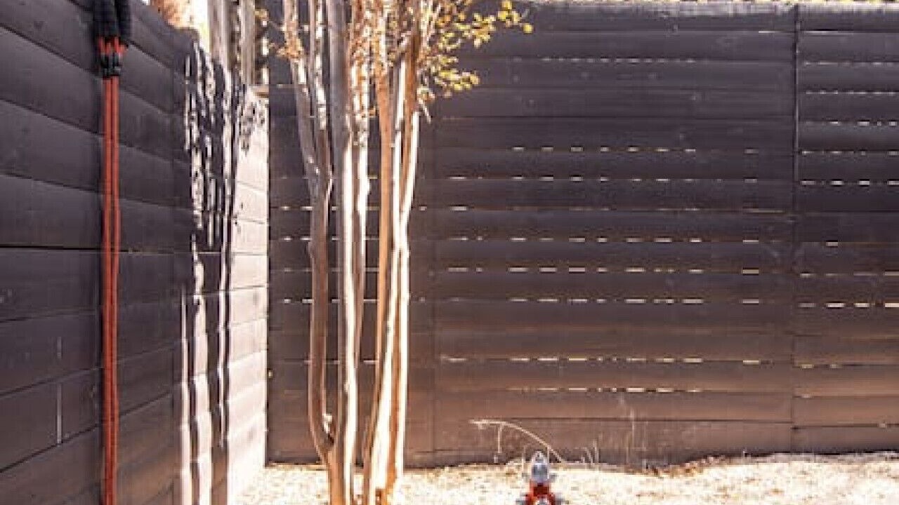 Photo of Outdoor in Travis Heights