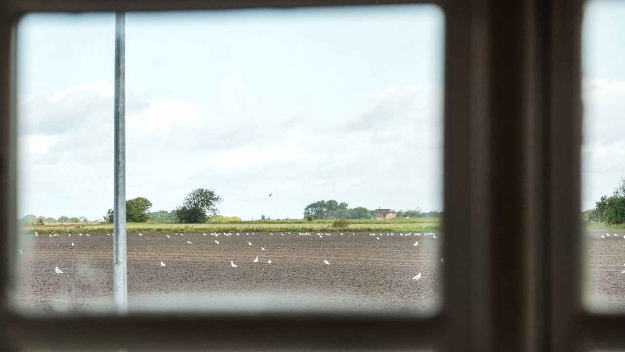 Photo of Others in Ballum