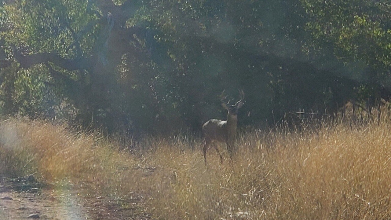 Photo of Outdoor in Bandera