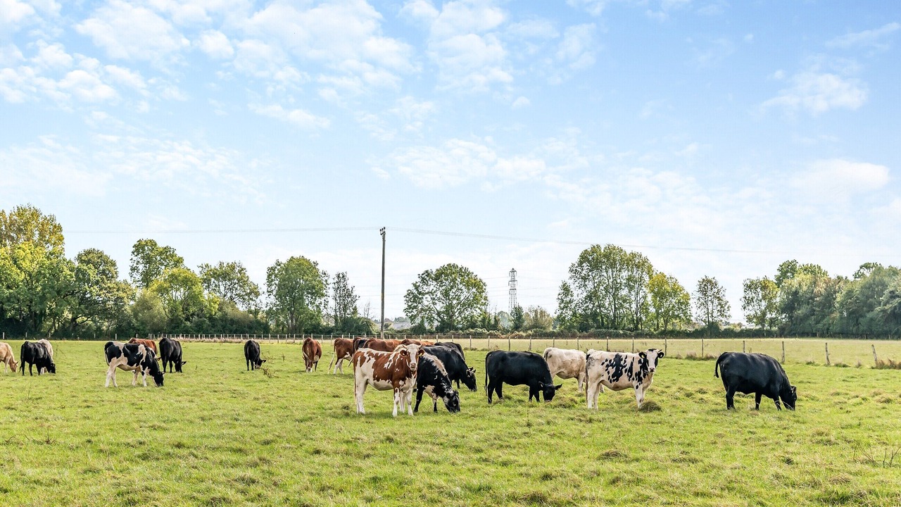 Photo of Outdoor in Wimborne