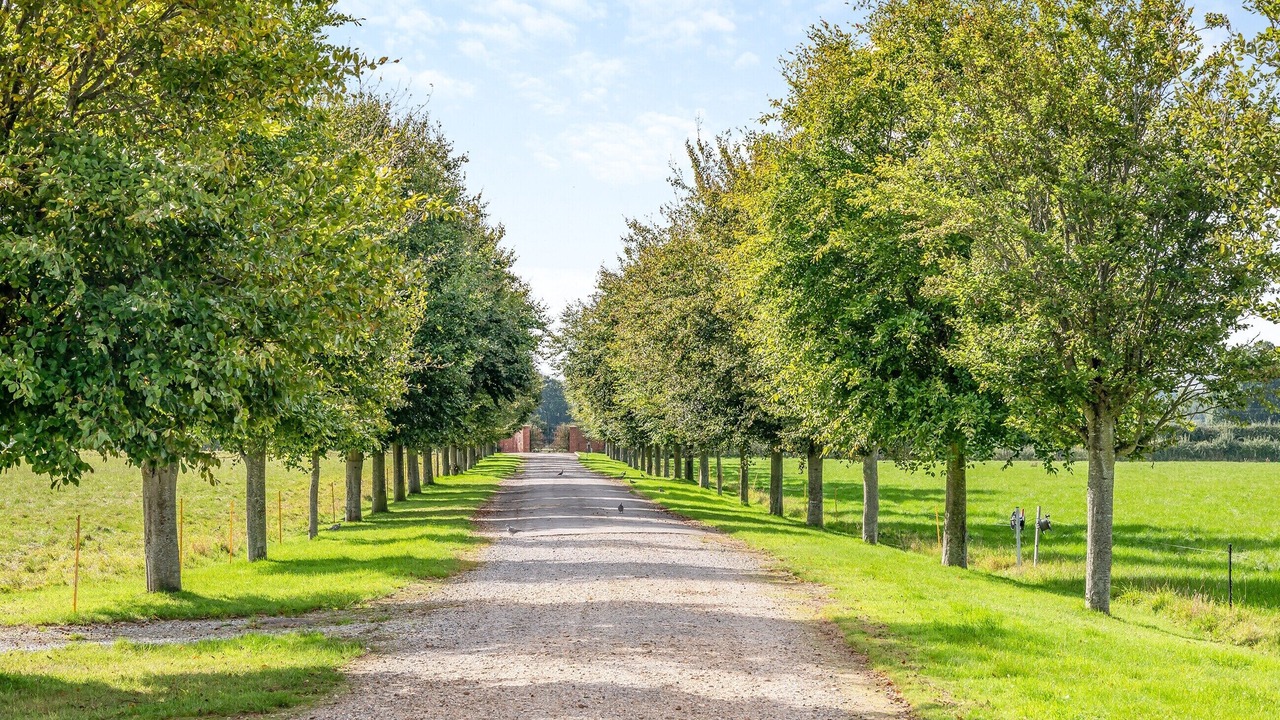 Photo of Others in Wimborne